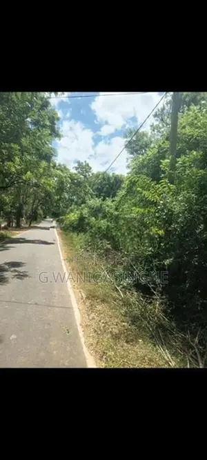 Land for Sale in Lunugamwehera