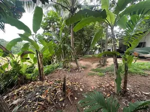 20.5 Perches Land with House for Sale – Delgoda