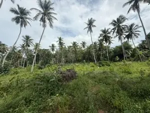 Coconut Land for Sale Hodiwewawatte