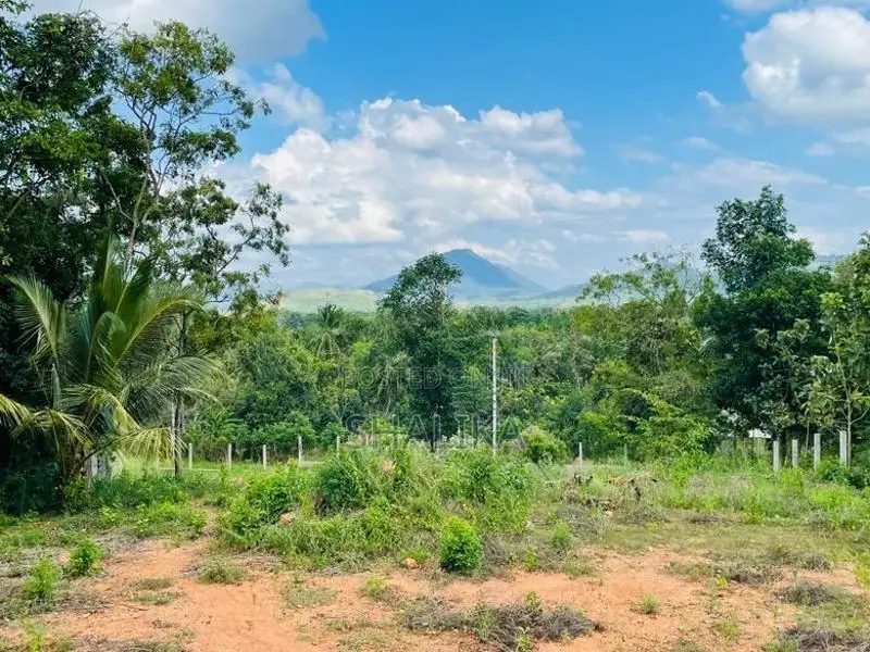 Residential Land for Sale in Galewela
