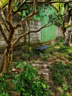 15.6 Perches Land for Sale in Andiambalama