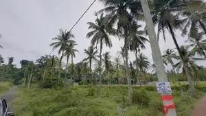 15-Perch Land for Sale – Thorayaya