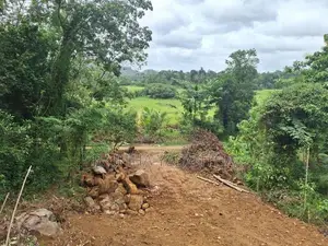 Land For Sale Dodangoda- වටිනා ඉඩමක් විකිණීමට - දොඩන්ගොඩ