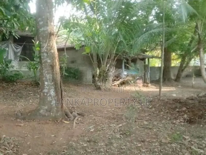 Valuable Residential Land for Sale in Mangala Mawatha, Kadawatha.