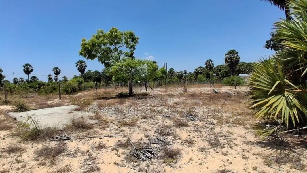 HHL1155 - Land for Sale in Thiraimadu