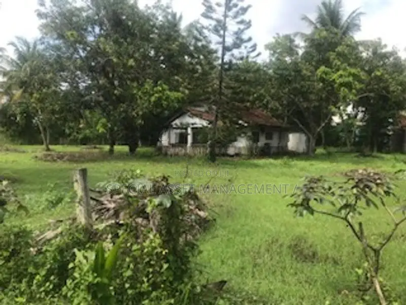 Land for Sale in Embilipitiya