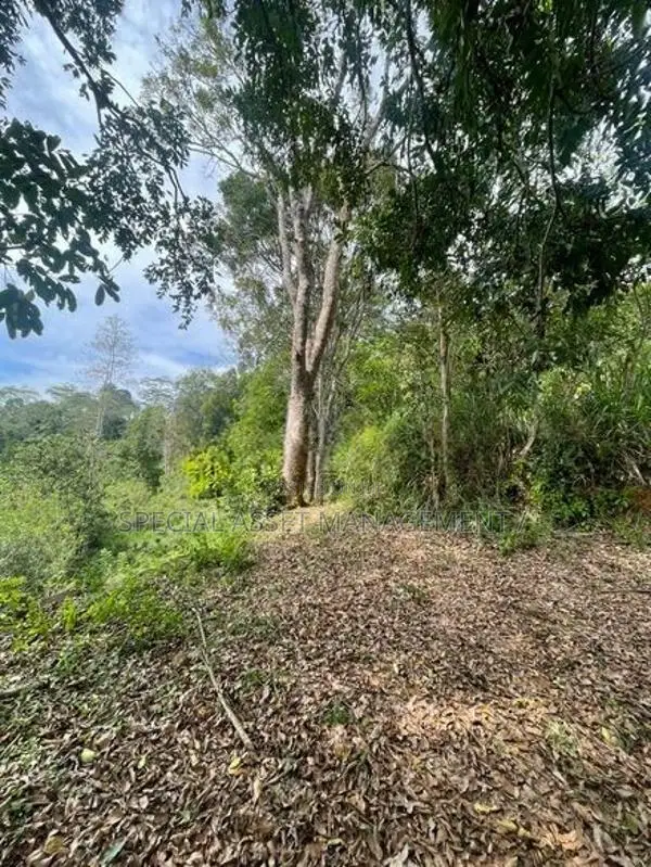 Land for sale in Andaradeniya, Deniyaya