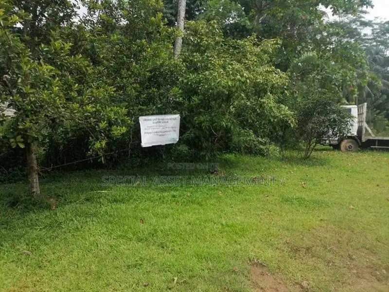 Land for Sale in Morawaka