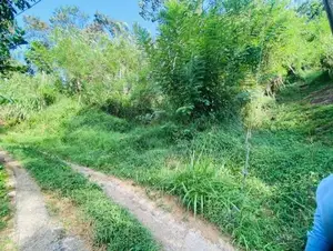 Land for Sale in Balangoda
