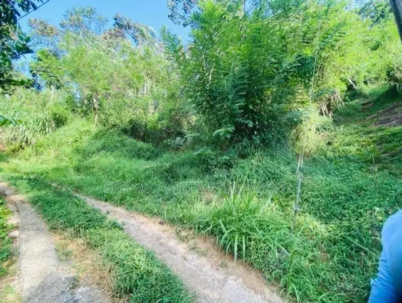 Land for Sale in Balangoda