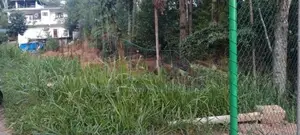 25 Perch Land for Long Term Lease - Ella