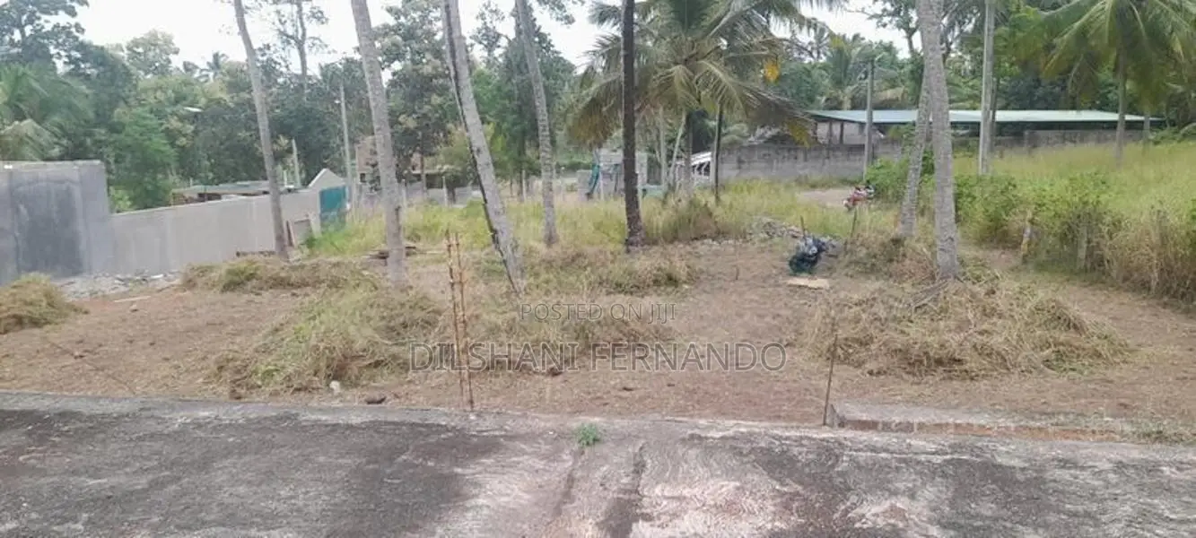 Land for Sale Thabbowa