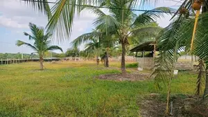 2 Acres Prime Land for Sale Mayilampaveli Batticaloa