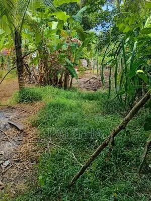 15.6 Perches Land for Sale in Andiambalama