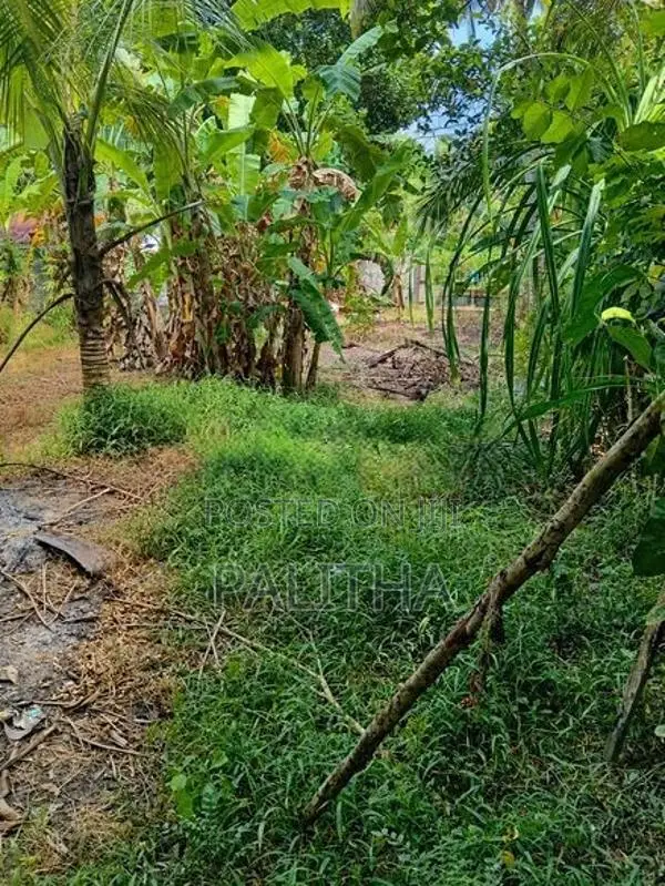 15.6 Perches Land for Sale in Andiambalama