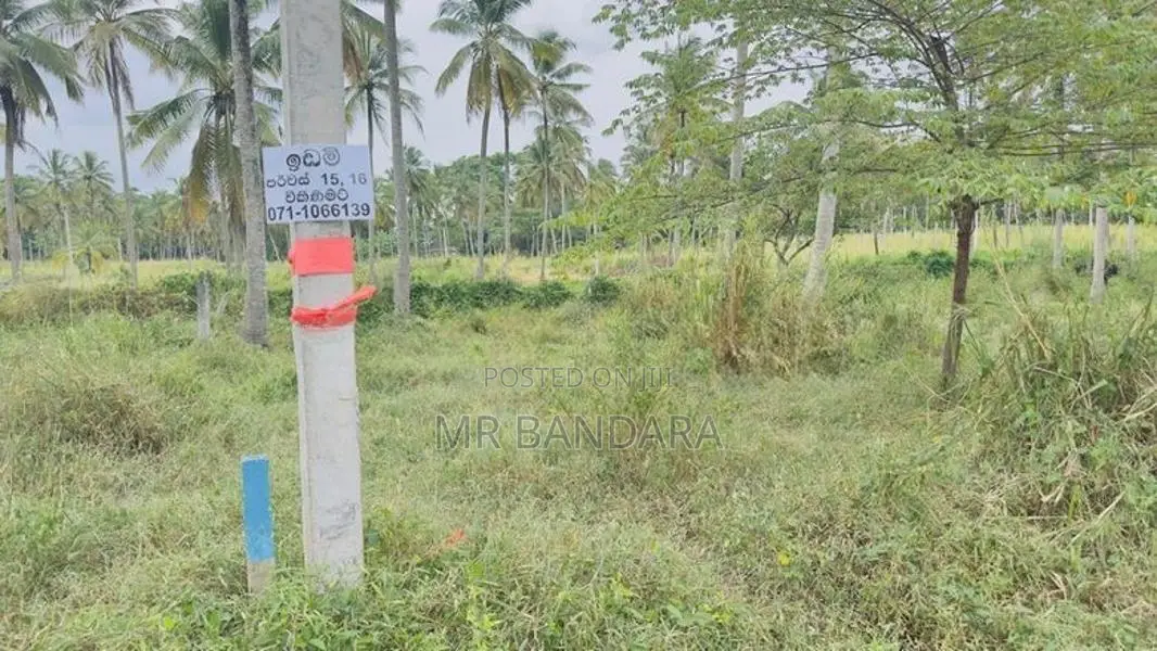 15-Perch Land for Sale – Thorayaya