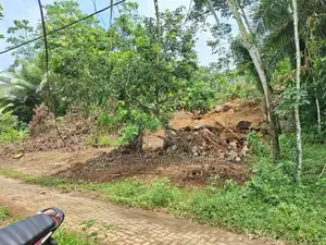 Land For Sale Dodangoda- වටිනා ඉඩමක් විකිණීමට - දොඩන්ගොඩ