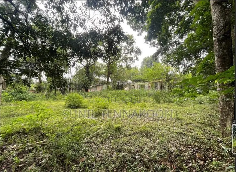 Land for sale in Balagolla, Kandy