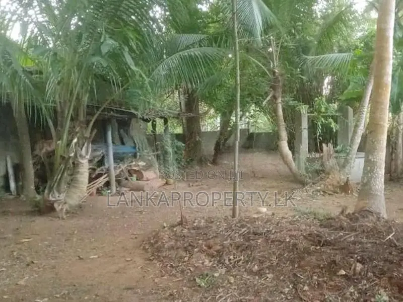 Valuable Residential Land for Sale in Mangala Mawatha, Kadawatha.