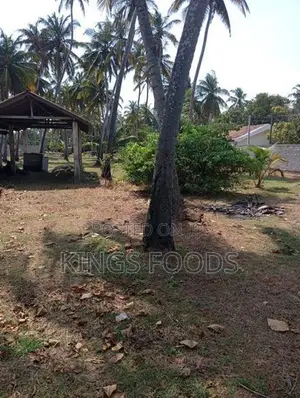 Land for Sale - Dungalpitiya