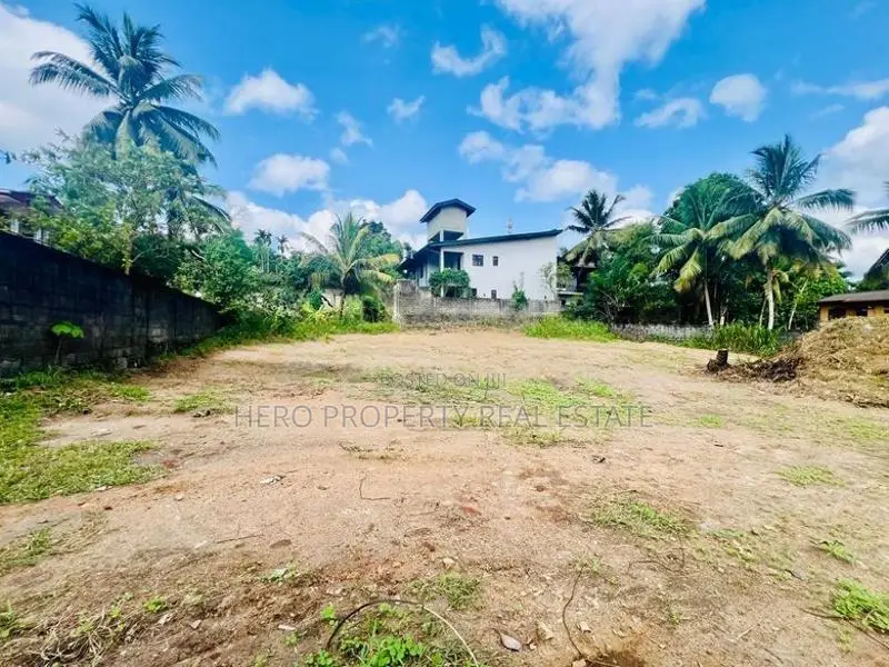 Valuable Land for Sale in Homagama
