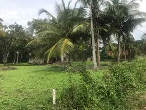 Land for Sale in Embilipitiya