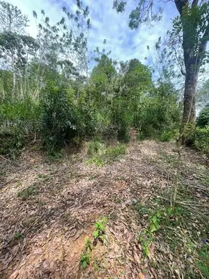 Land for sale in Andaradeniya, Deniyaya