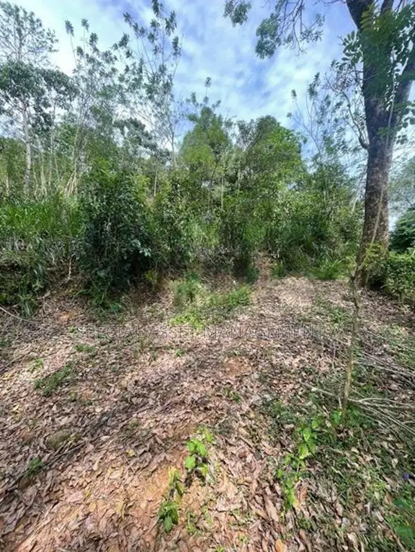 Land for sale in Andaradeniya, Deniyaya