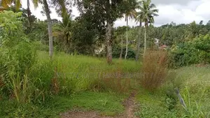 Two Lands for Sale in Thalpawila, Matara