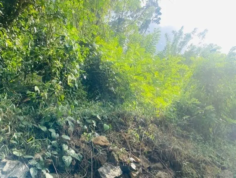 Land for Sale in Balangoda