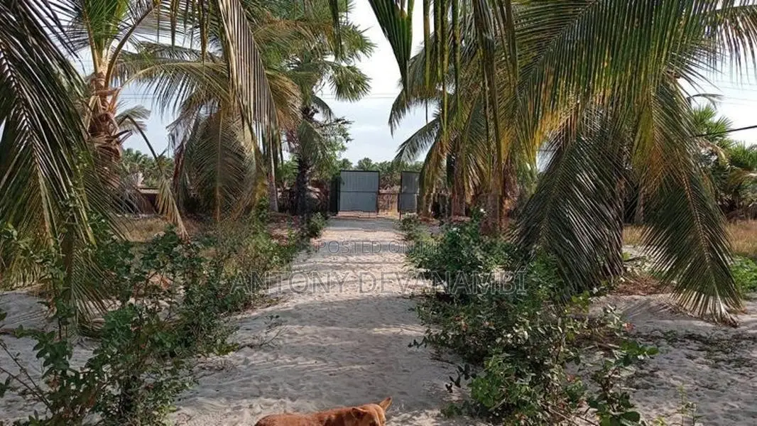 2 Acres Prime Land for Sale Mayilampaveli Batticaloa