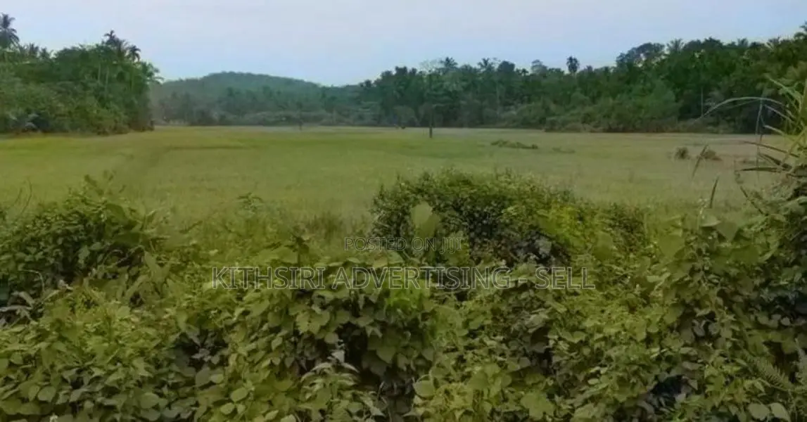 Land for Sale in Kalutara, Ingiriya