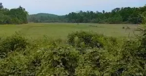 Land for Sale in Kalutara, Ingiriya