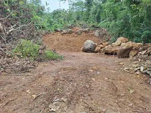 Land For Sale Dodangoda- වටිනා ඉඩමක් විකිණීමට - දොඩන්ගොඩ