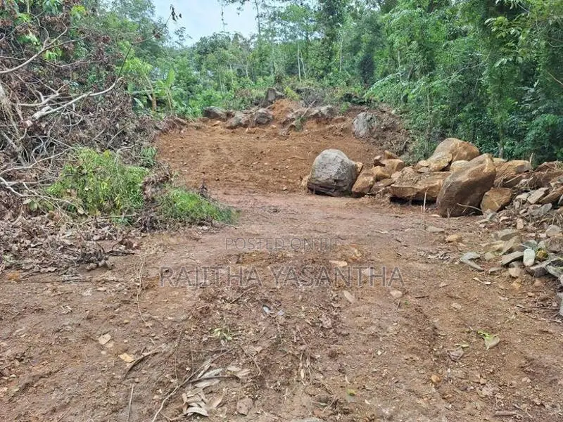 Land For Sale Dodangoda- වටිනා ඉඩමක් විකිණීමට - දොඩන්ගොඩ