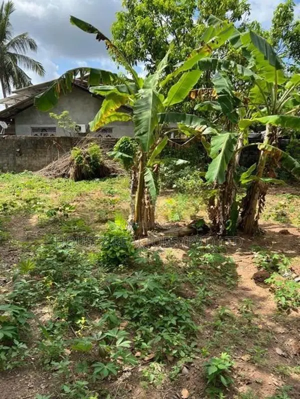30.5 Perch Land for Sale – Veyangoda