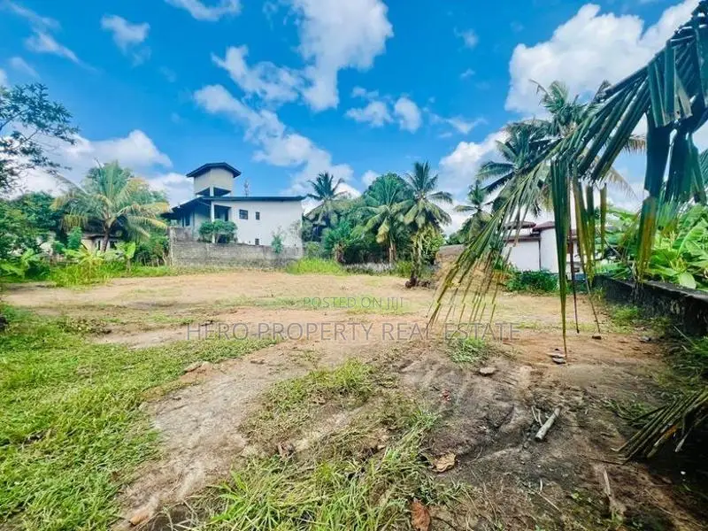 Valuable Land for Sale in Homagama