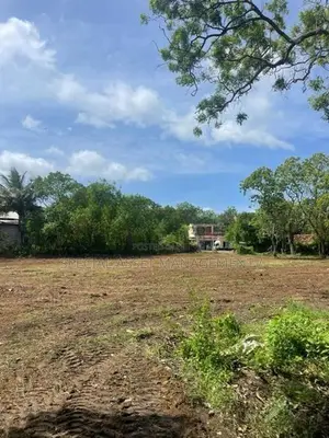 Land for sale in Tissamaharama