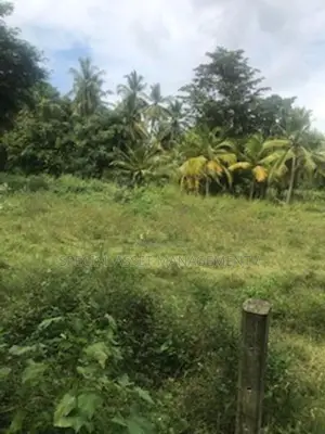 Land for Sale in Embilipitiya