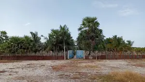 2 Acres Prime Land for Sale Mayilampaveli Batticaloa
