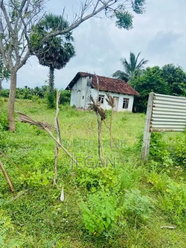 (உறுதிக்காணி மற்றும் வீடு) with Land for sale in Vavuniya .