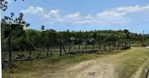 Land for Sale in Kalutara, Ingiriya