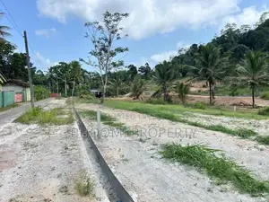 පින්නදූව අදිවේගී පිවිසුමට ලගින්ම බිම් කොටස් විකිණීමට ගාල්ල