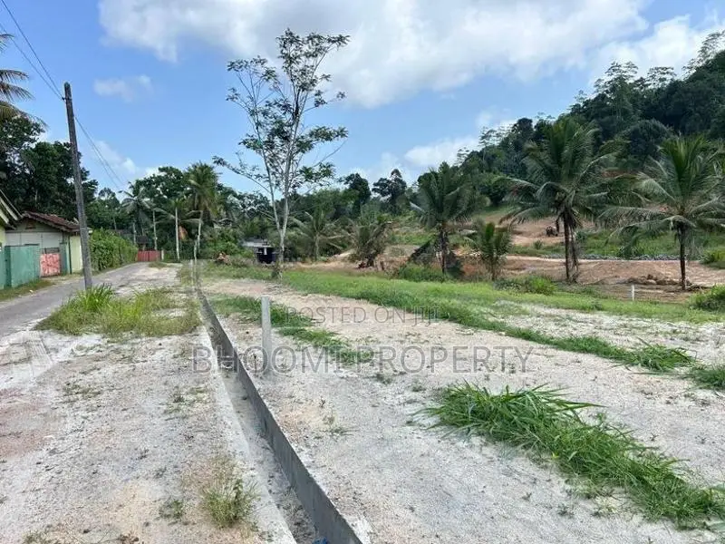 පින්නදූව අදිවේගී පිවිසුමට ලගින්ම බිම් කොටස් විකිණීමට ගාල්ල