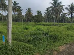 15-Perch Land for Sale – Thorayaya