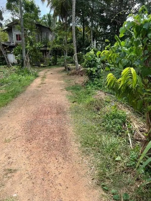 30.5 Perch Land for Sale – Veyangoda