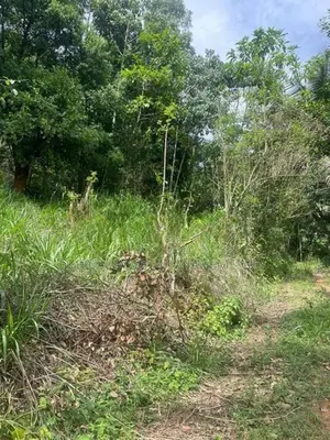 Land for sale in Andaradeniya, Deniyaya