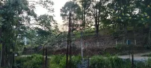 25 Perch Land for Long Term Lease - Ella