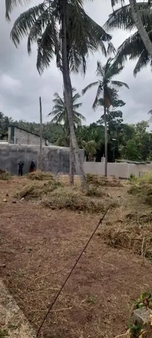 Land for Sale Thabbowa
