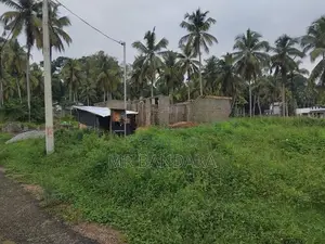 15-Perch Land for Sale – Thorayaya